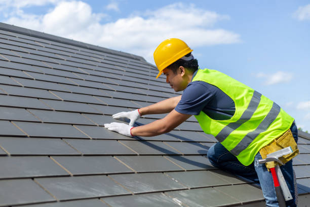 Best Roof Gutter Cleaning  in Quitman, GA
