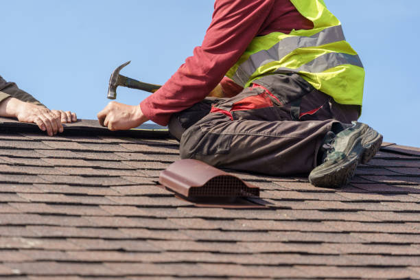 Best Gutter Installation and Roofing  in Quitman, GA