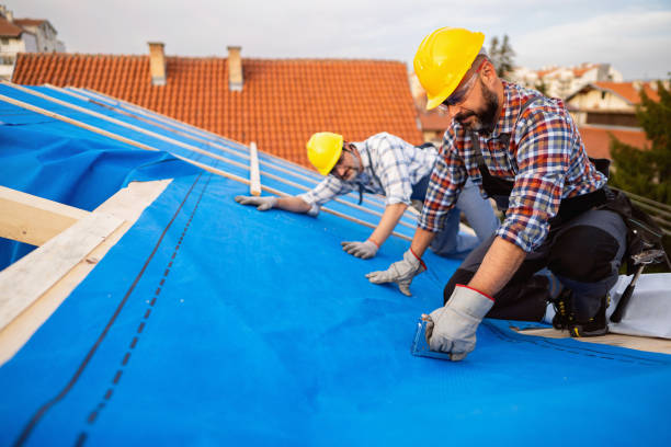 Best Residential Roofing Contractor  in Quitman, GA