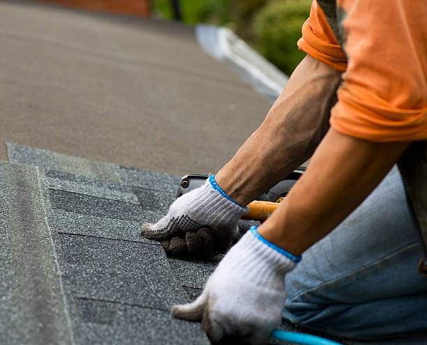 Best Shingle Roofing Installation  in Quitman, GA