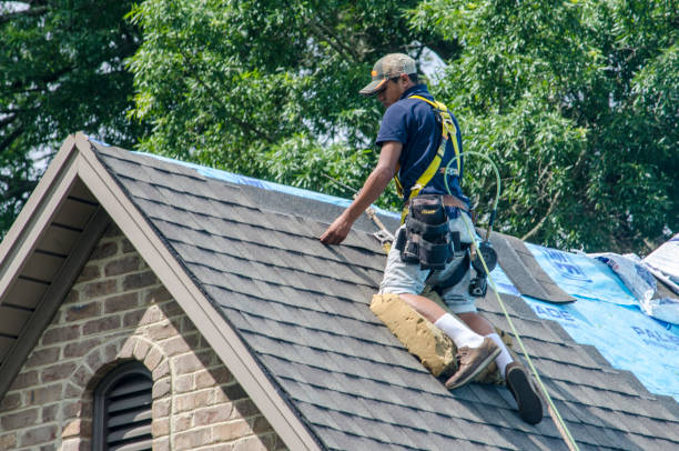 Best Roof Repair Services  in Quitman, GA